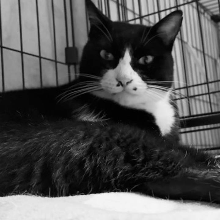 9ca3bba1 3e09 42c9 b8bd edd287ff415f 1761215088818