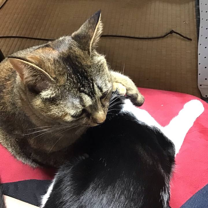 9ca3c571 ce30 4014 974c 6b3e7a9c48db 1630557387415