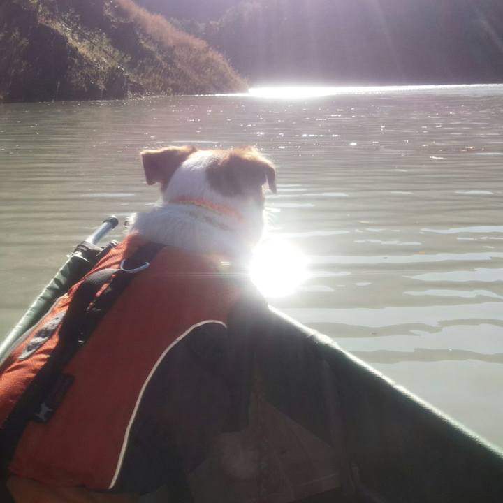 9ca3c98d 23b2 49f5 aae9 4eccaf08542c 1511420292835