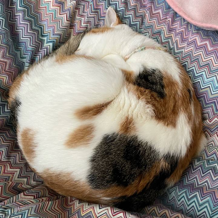 9ca3f203 2033 4991 950e 227ace1fdf8b 1647735515965