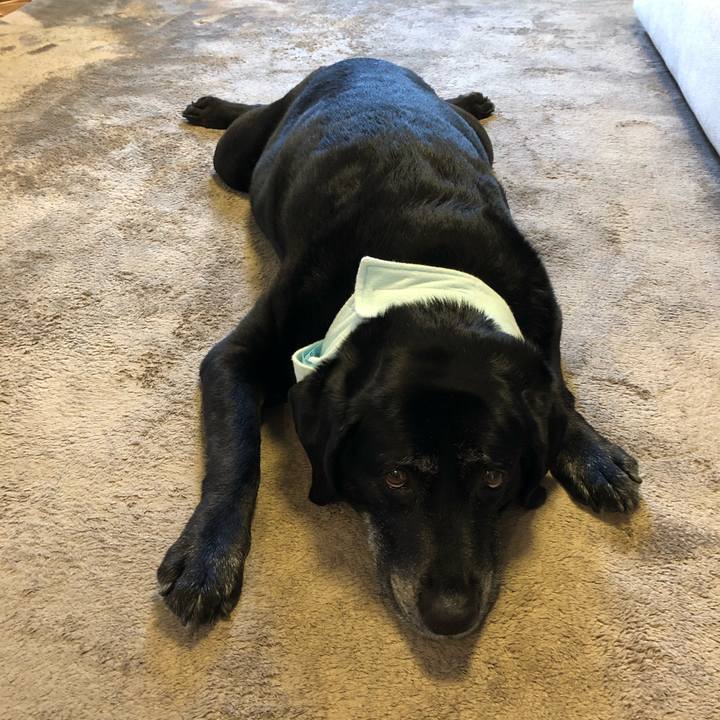 9ca40bbc 213d 4bdc a8a7 29a047aa48ba 1588654514339