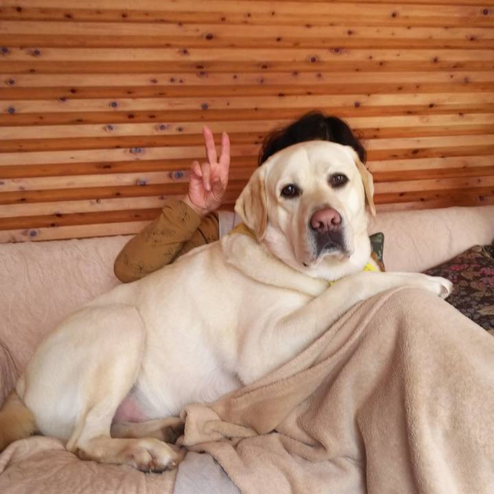 9ca4181e 9069 436c 98bb 55357036132c 1576048514875