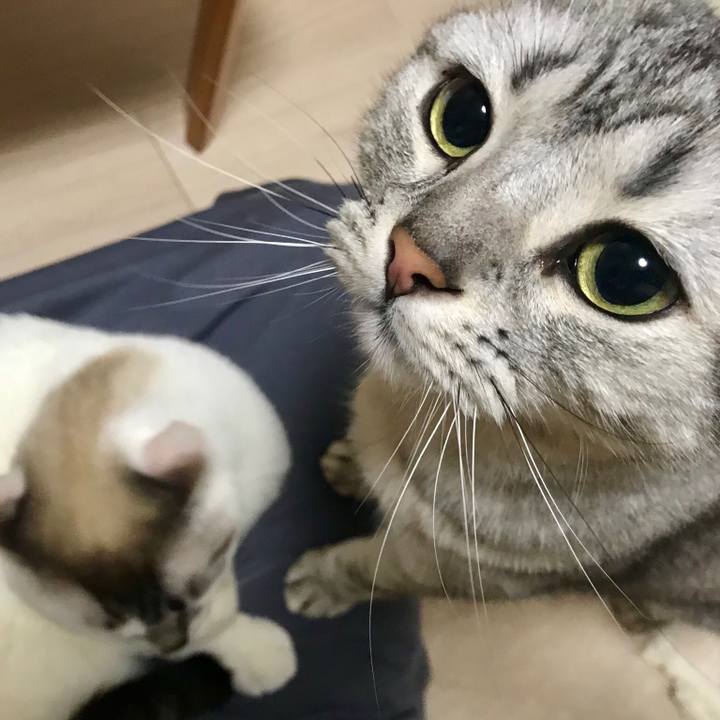 9ca44cfc aa6e 4f7c b64c 5e402964b1ec 1522881582837