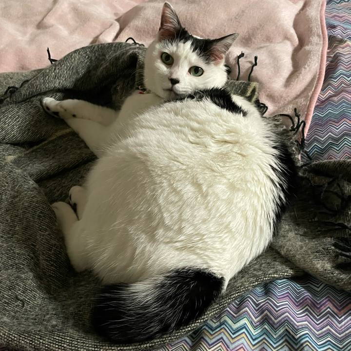 9ca45801 0302 4618 a5b2 21b942f45f86 1649589855809