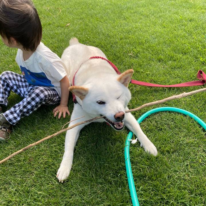 9ca468aa ab30 4c3f 85bd 8a9902c991c7 1659956936315