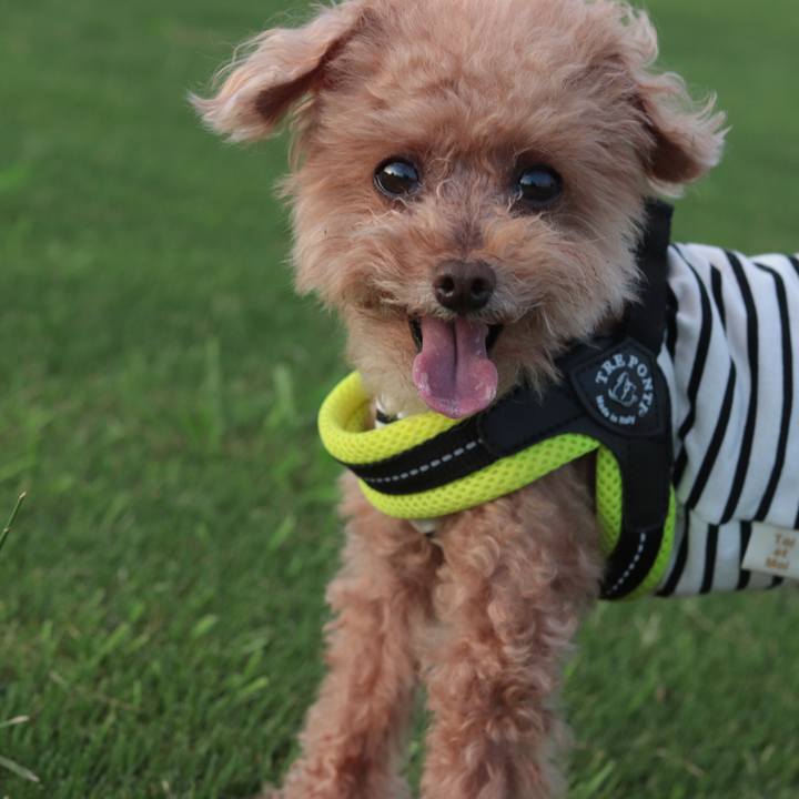 9ca47a4a 23cd 4420 8362 e878cd9c79e2 1626352436050