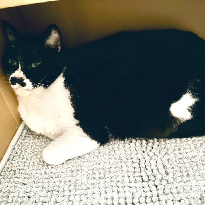 9ca49b05 0a42 430d 8db0 5b2010dea521 1717928783434