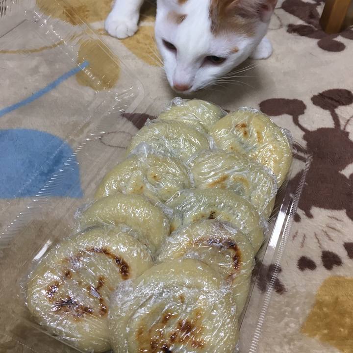 9ca50239 d11f 4565 9b0e 581d99eca4b1 1515824894973