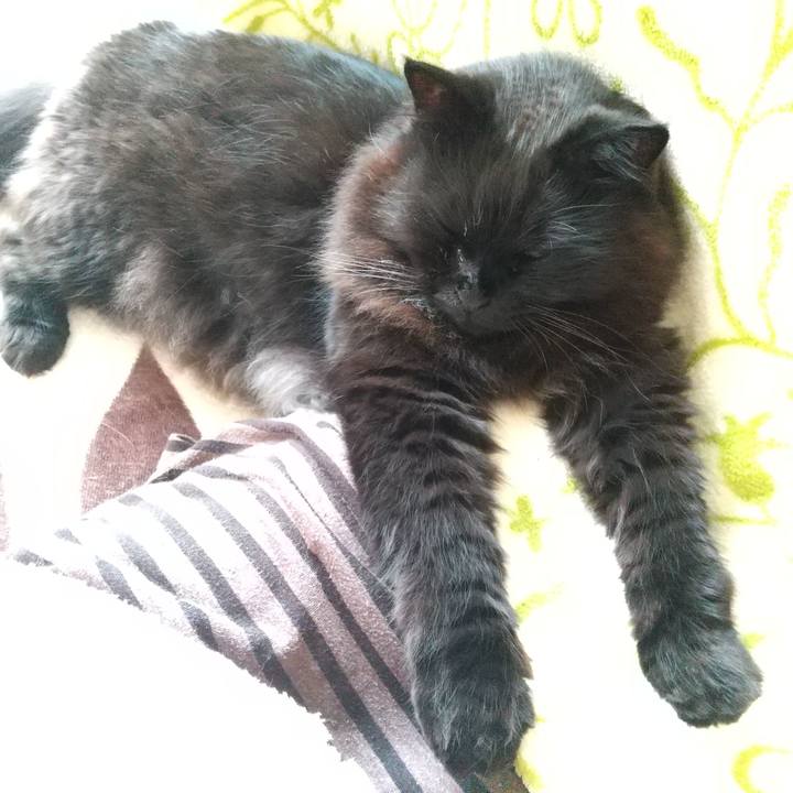 9ca503c6 c927 4932 bda3 7bde463c8a48 1589937179839