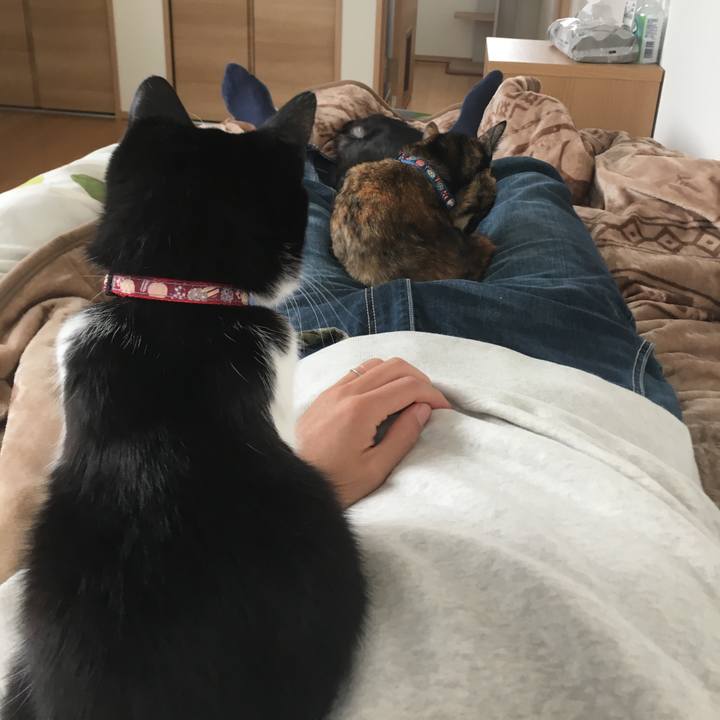 9ca51844 05ad 4873 9e4d d114af4b52ed 1543218914220