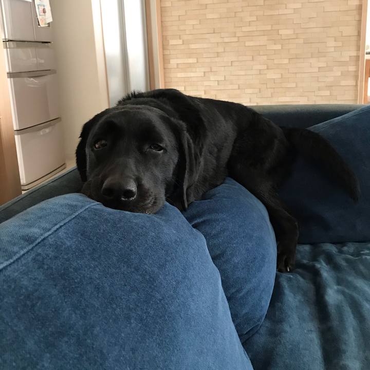 9ca52635 206c 411c a70b 265b4a34fe69 1585223808280