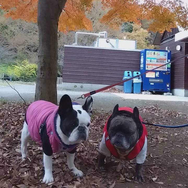 9ca55aee 3d0b 4bd9 9f6f fb59523babf4 1701093361356