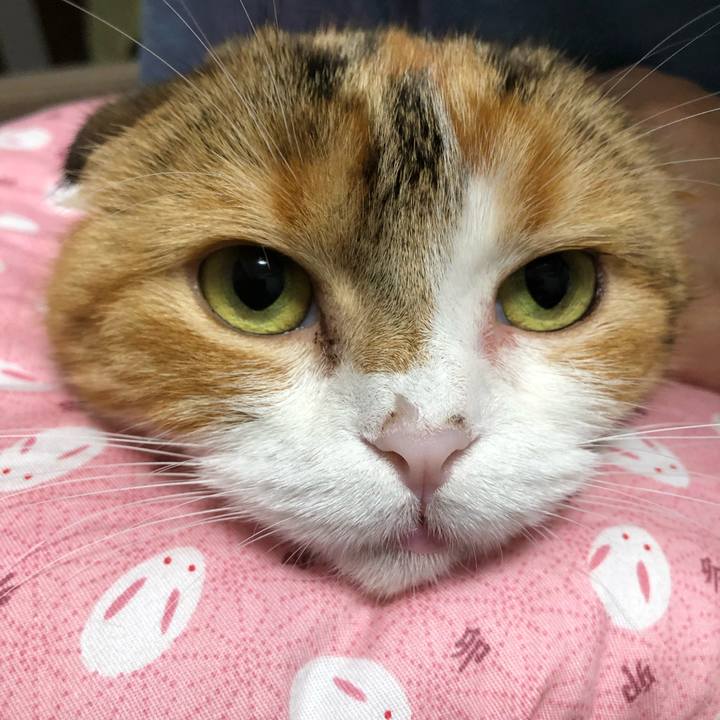 9ca5705b 8c8e 42e1 8775 1a82227dcce6 1592563208444