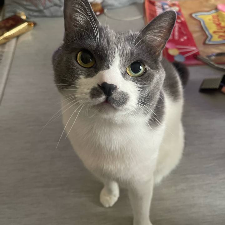 9ca59a50 b61b 4e02 83f1 17156bd1e05d 1754782843064