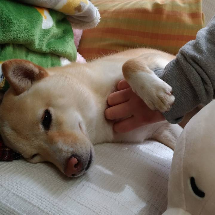 9ca5a427 d0b4 43ae b9bf 284a6d95f00b 1521340228959