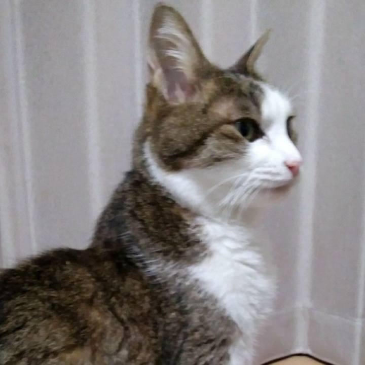 9ca604ff bf9d 4672 8aca 642c23ac3249 1551180636402