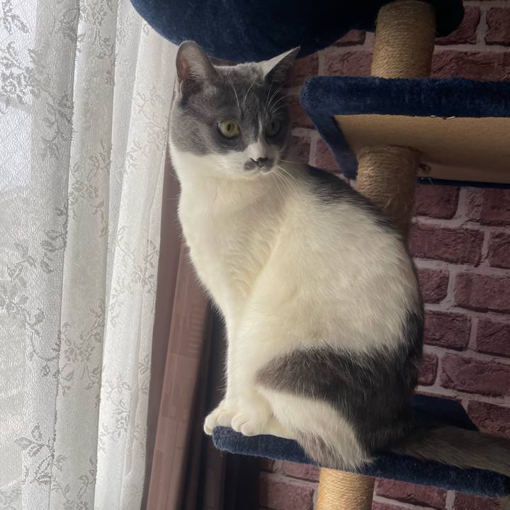 9ca61245 cfba 4d96 be4f cf7a85c62e91 1715471030225