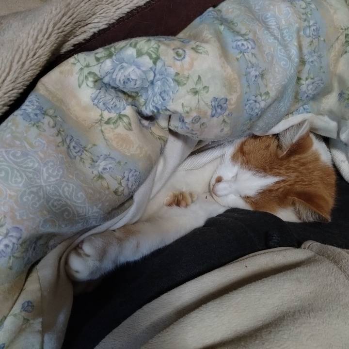 9ca63126 e003 4499 b5f7 0ad4cc0d27d6 1766474360451