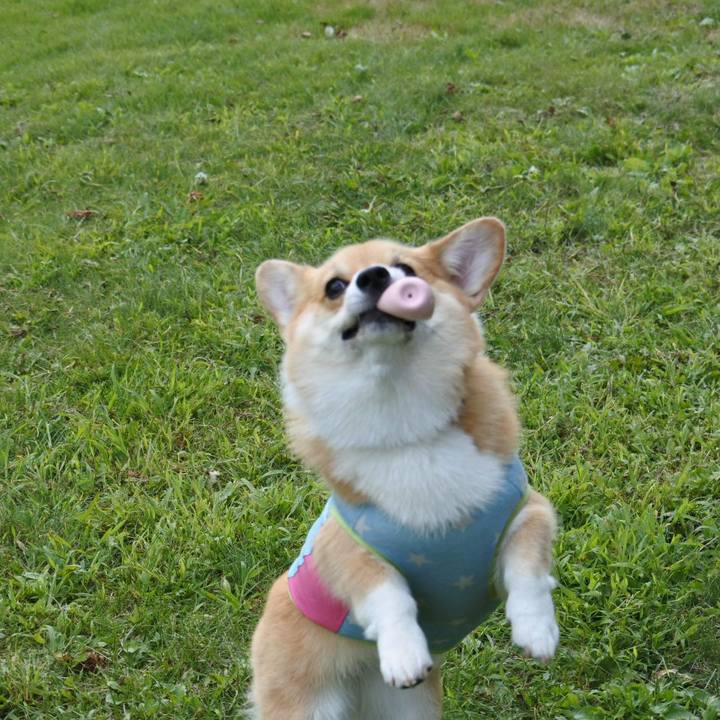 9ca64426 49c1 4c2f a96a 9aeab3298a96 1568543842535