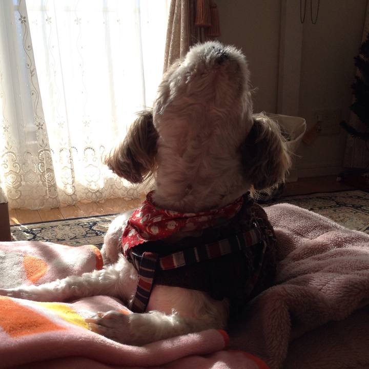 9ca65152 c5de 4d4b 9f79 b3ea4e343eeb 1513719667683