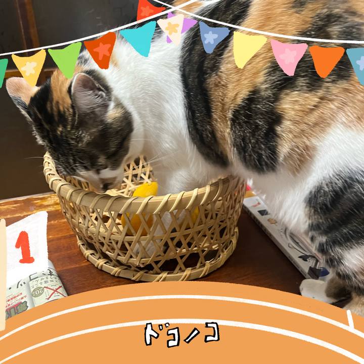 9ca65bdd 310a 4795 80c0 877bf6309405 1761117808182