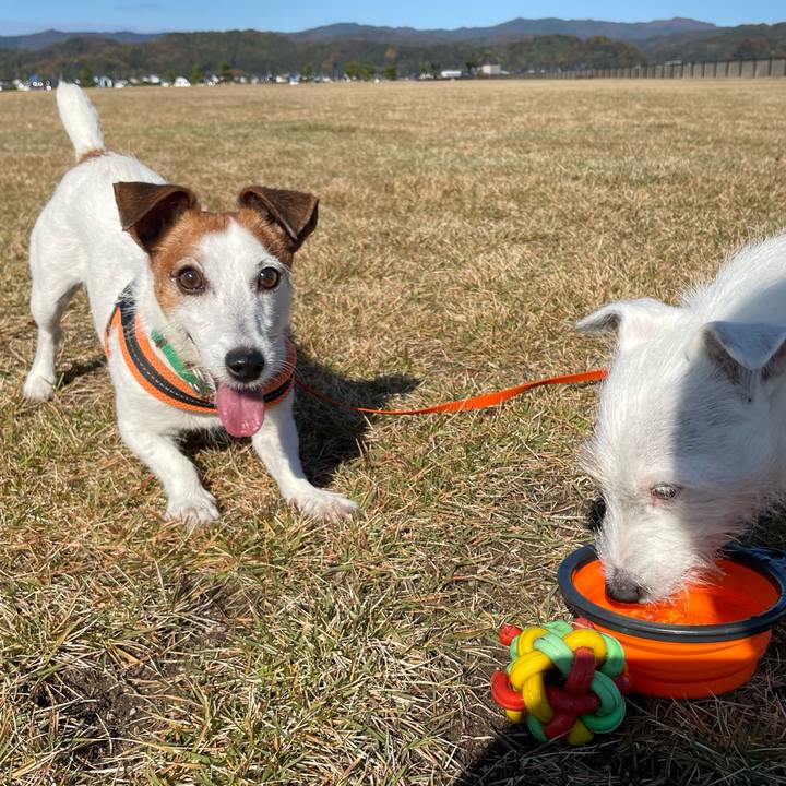 9ca698de 145d 4898 a397 641b31cec728 1763605996970