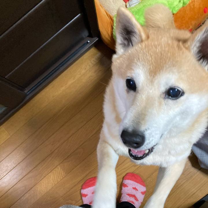 9ca70ad8 8048 473b b6e7 d6da23e3c4c2 1616070681073