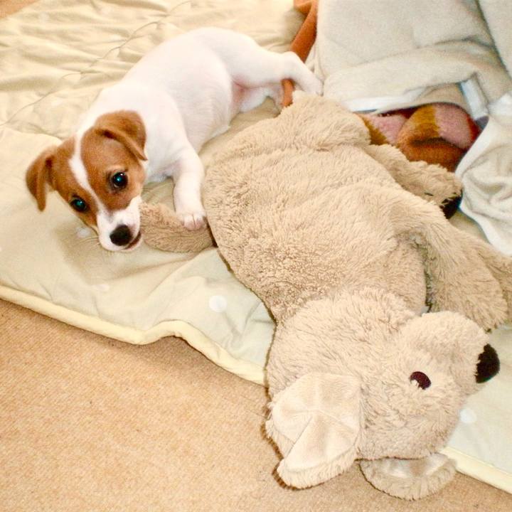 9ca741e4 e7ef 4e89 a65e fbd095f39715 1762263045657