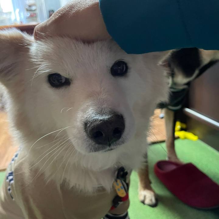 9ca761c1 7ea8 446d 8f35 5c1aea270d72 1672795633827