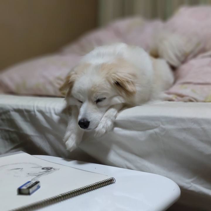 9ca76b36 4267 4c49 86f8 e7fd3e9be54c 1652996339651