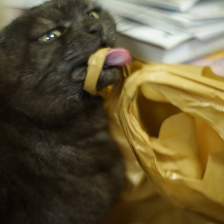 9ca77e0a fef2 4ee5 8954 f5b142920bd4 1619363525548