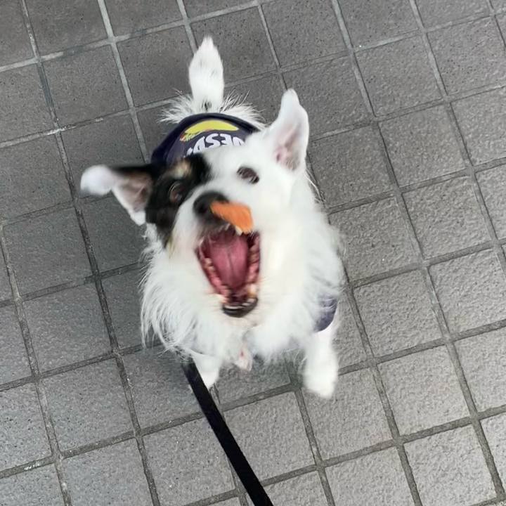 9ca7a97f 3320 47b3 b980 f060ddd22b02 1713312772116