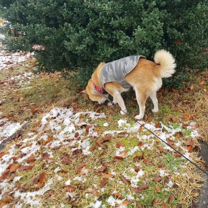 9ca7c429 e45f 4287 a874 597c809c03a2 1731990499094