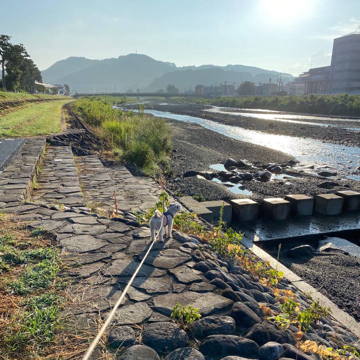 9ca7ee63 0d9d 4869 ad8d 88b32fd31b96 1598220334331