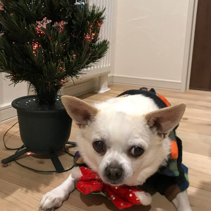 9ca81472 9a8c 439a 9cd0 b8aa767f6d72 1608890898980