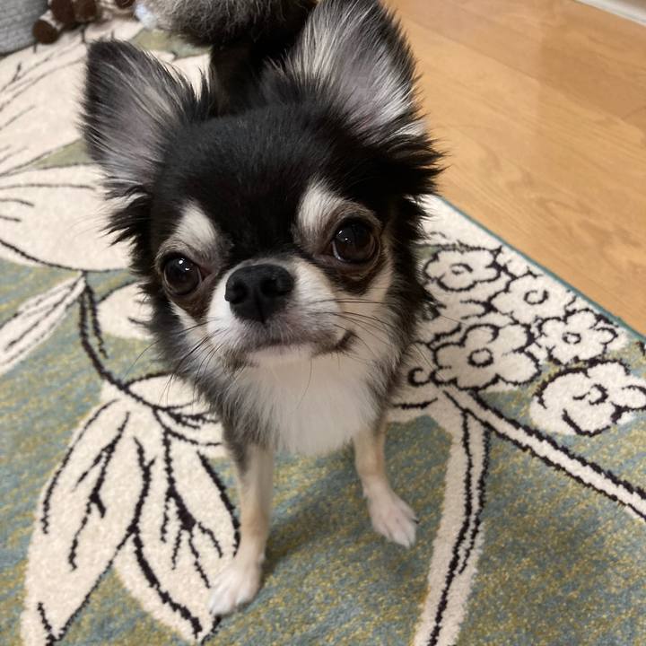 9ca87917 2477 44df b9f2 9ebd63bc4aa3 1628431581940