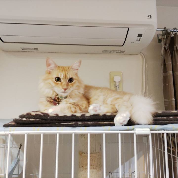 9ca91a7d 995b 44ff a1d7 8f116e5eacb0 1696252306856