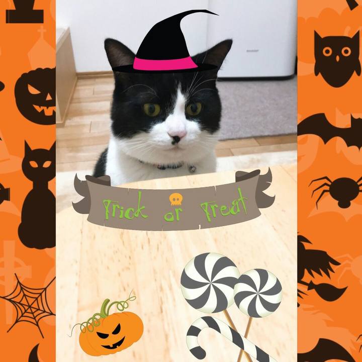 9ca94fb2 7c00 4690 9d96 31e806842665 1509437108895