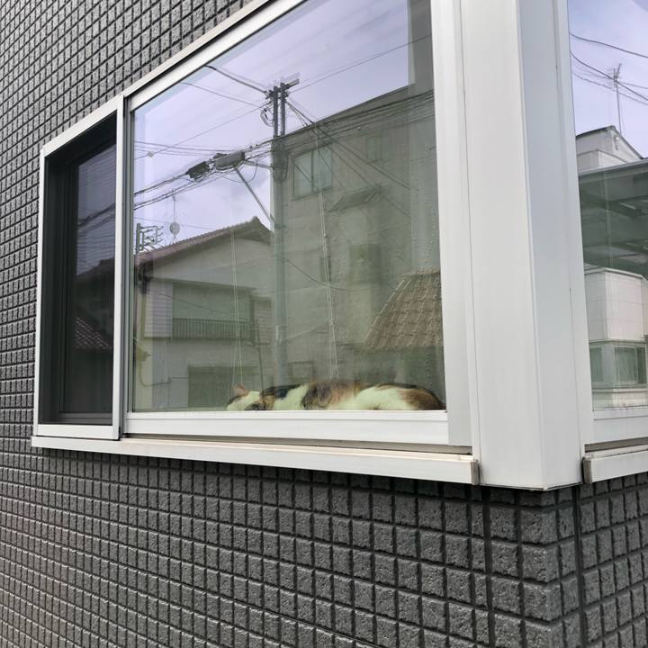 9ca98824 ea69 4ab7 91e3 ce965702fbd9 1623305493317