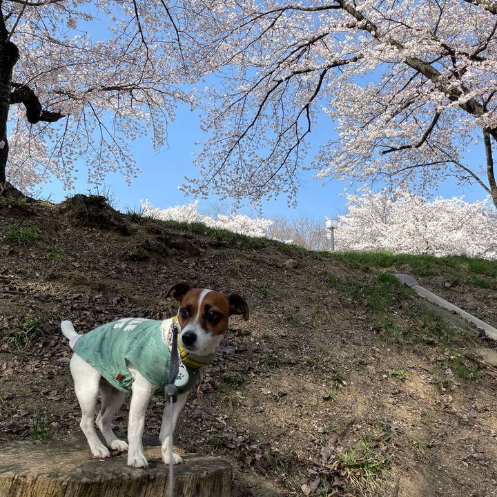 9ca98ad4 1b96 41a0 8fd1 345b0f1a66c1 1649759668236