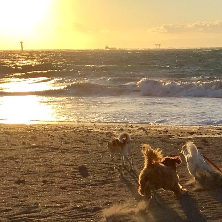 9ca9a0d3 2ad1 44b2 ab55 903aba1dfebe 1511871942992