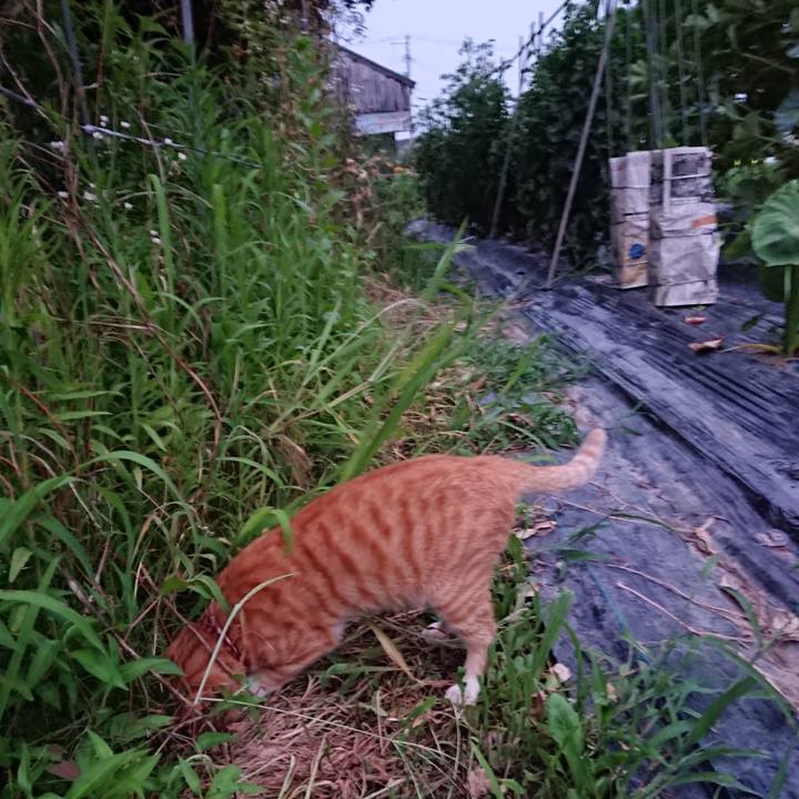 9caa87ad 386d 4aed 98e4 c6d06694103d 1564481473590