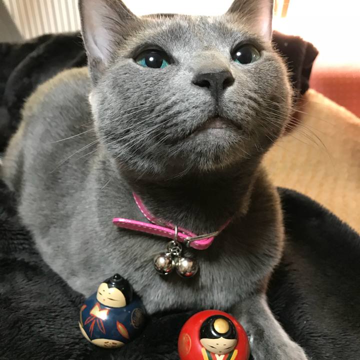 9caa8e16 7701 4ead bad7 7de28139bdbc 1520079873532