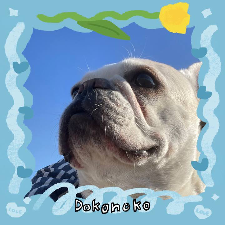 9caa947a f917 4cca 990c 00315c836d1f 1771934928312