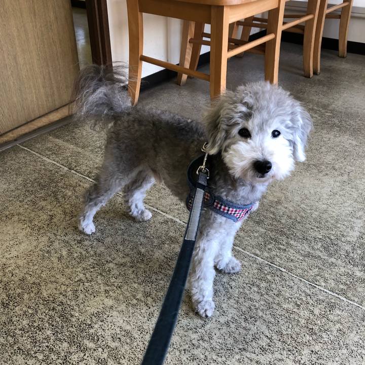 9caab27c f3cd 4410 96c6 26e619325907 1531614039496