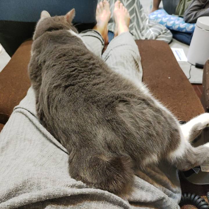 9caae562 04c7 441b a5be 0e8e8735af7a 1712063825188