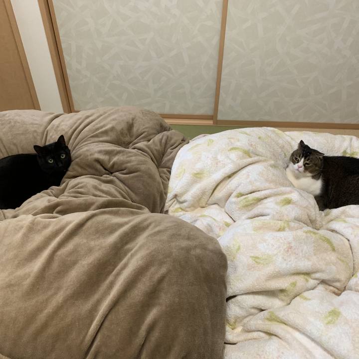 9caaeff9 732c 4266 b27d bc7d7cf091f0 1609823552852