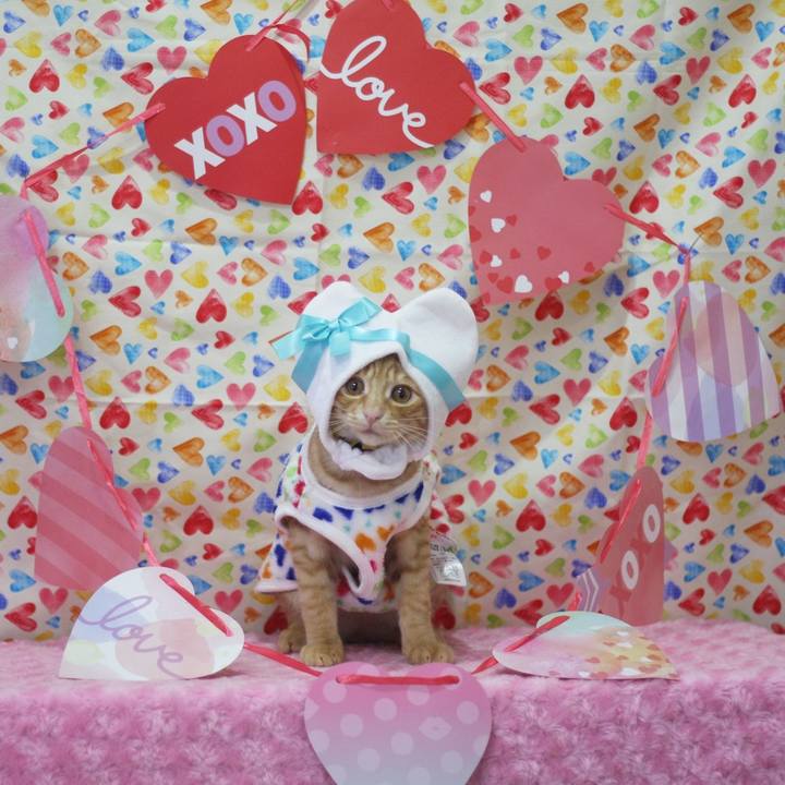 9cab2710 435a 414d bb94 b4b29b4b5a20 1675843868026