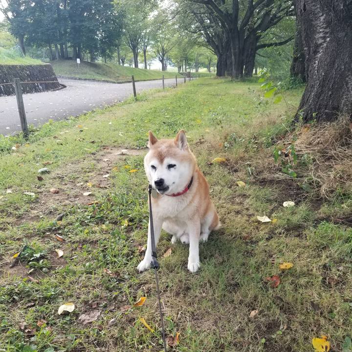 9cab291b e5f8 41f6 af04 a8ff5e687366 1725522213829