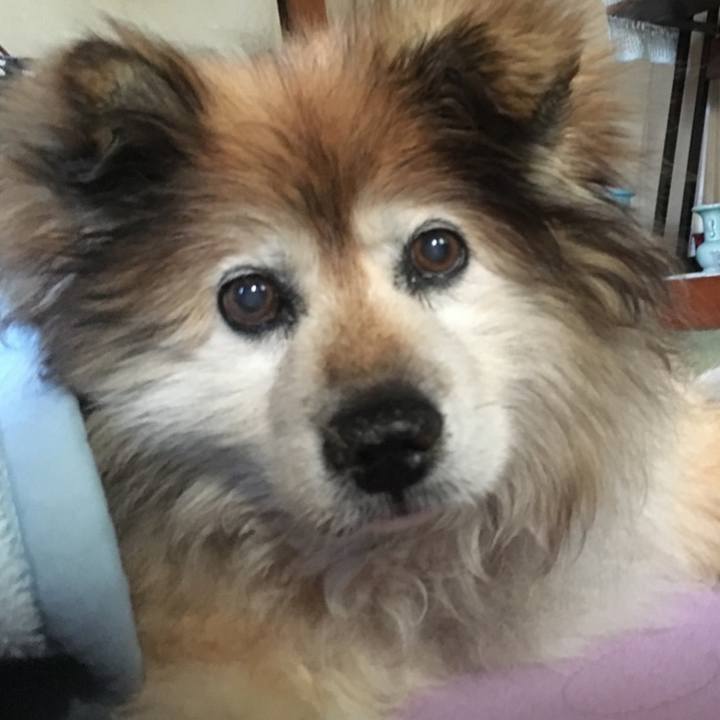 9cab2f93 88a5 44d2 afc1 67d7a9cb6dec 1583151572819